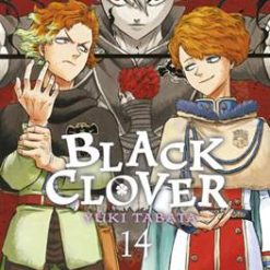 Black Clover 14 - Chispas doradas y negras