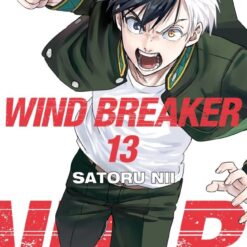 Wind Breaker 13