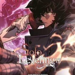 Solo Leveling 12 - Eleccion sin retorno