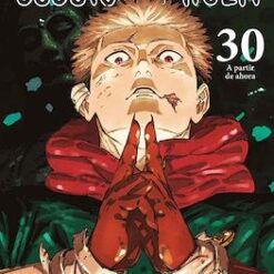 Jujutsu Kaisen 30